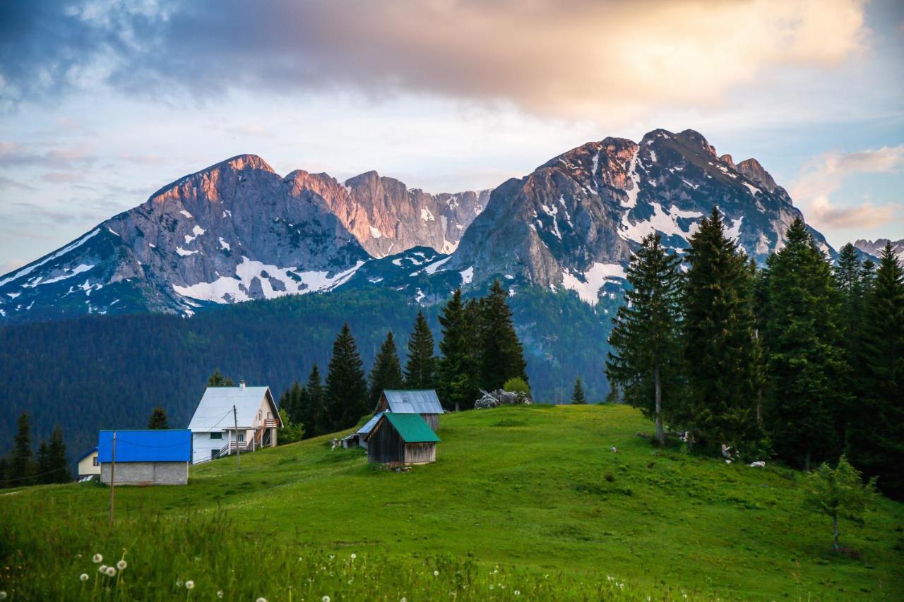 Bungalows Fairy Tale Žabljak Dış mekan fotoğraf